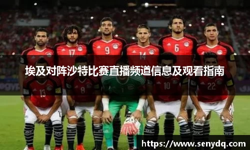 埃及对阵沙特比赛直播频道信息及观看指南